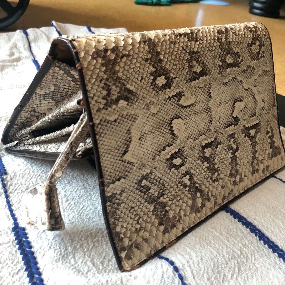 Vintage Snake Skin Clutch Purse